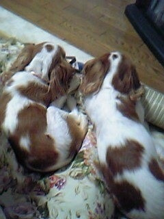 {CFE0EA50-B37B-4384-BA14-04E82B0D5151}