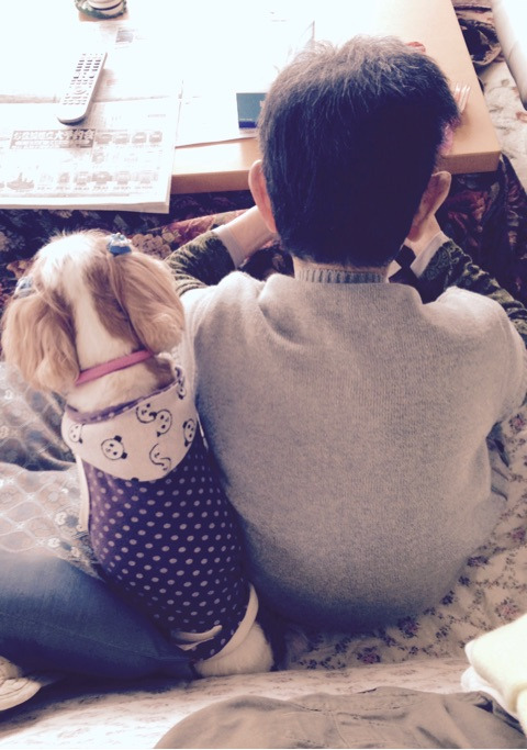 {CE1D94F2-6870-4B44-960D-9ABE551CB87F}