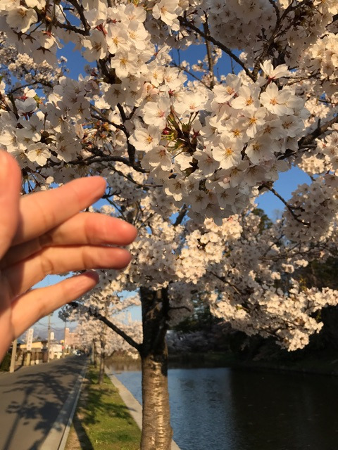 {0E7E3B2D-35D0-4014-91B0-7111E6CE7D4E}