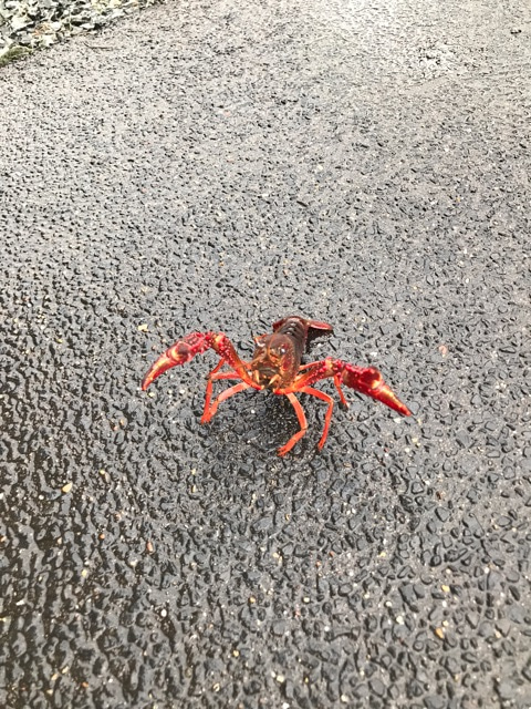 {43A47A7F-541C-4A4A-BFB0-F77C151F83A0}