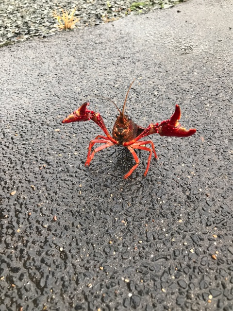 {8E36E814-7666-4753-BDB2-0850AA92222B}