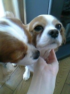 {02830F66-B52C-471E-9357-F024BA495749}