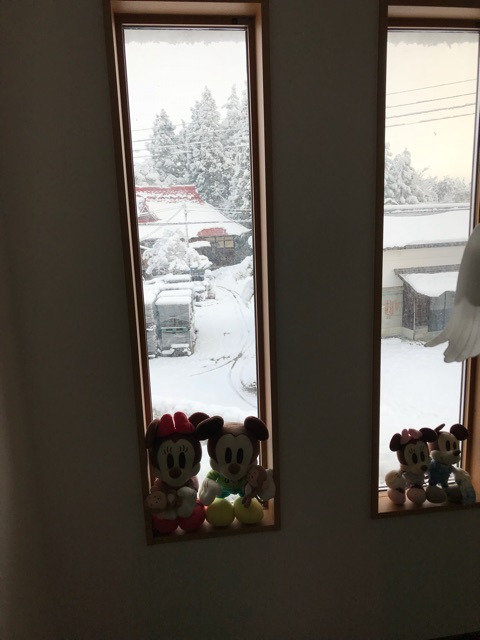 {9FBE9B5B-52C8-474D-AE8C-36BD11642CDF}