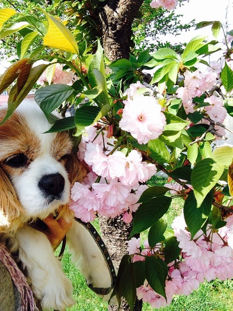 {134D9E01-70C5-4263-822E-76D47644B06D}