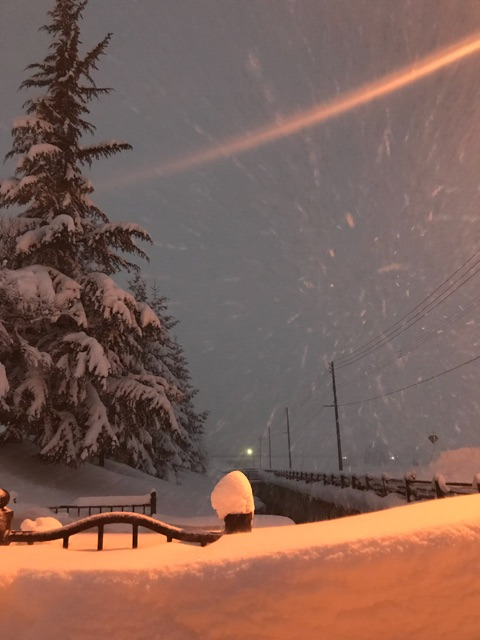 {1492D7B9-E580-42CC-9D5E-F734D74FCC38}