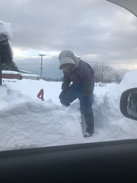 {1EB29021-A627-41B6-82CF-34C088256284}