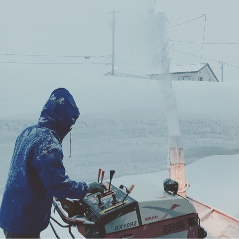 {F4BB5323-228E-49BC-A307-B943009EFE85}