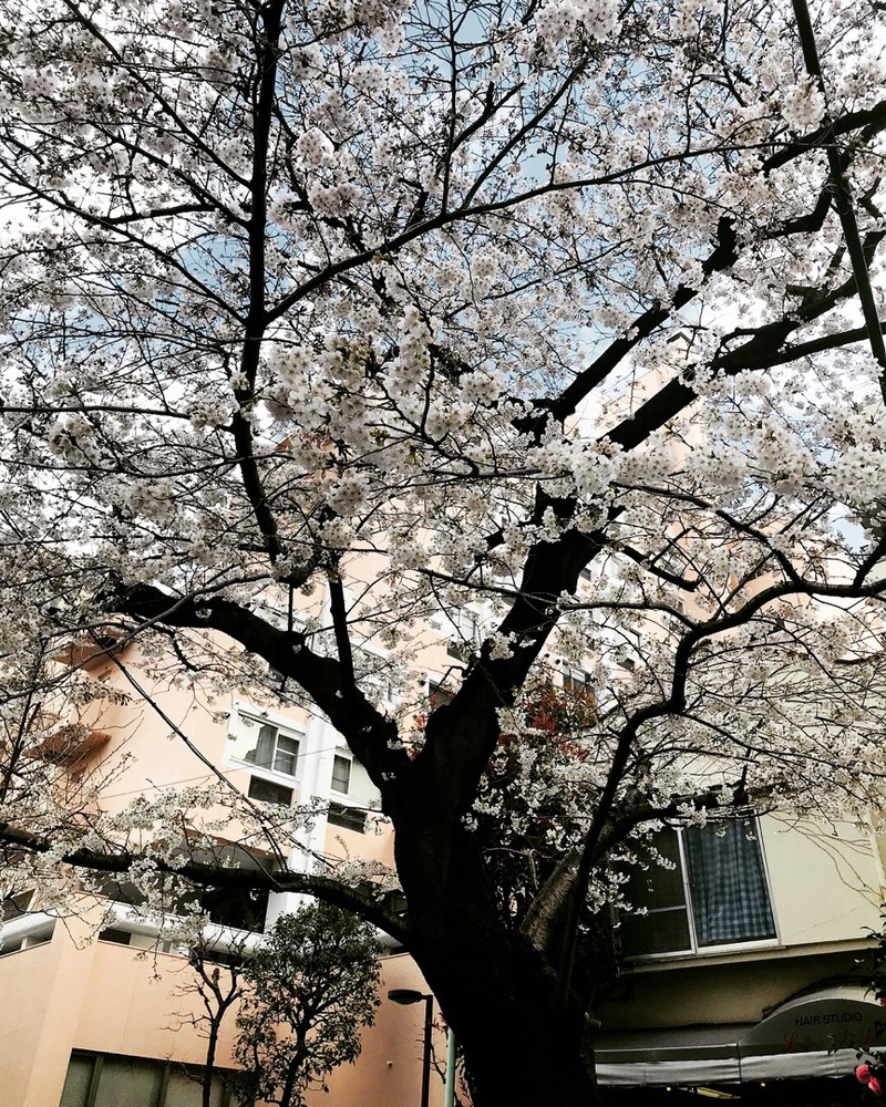 {4627B290-D471-4B2A-9869-093F957CA76B}