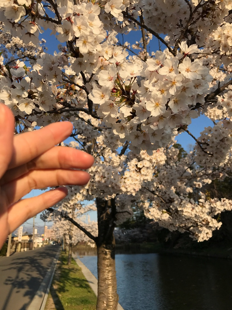 {BE34D01C-6095-4752-A7E4-834BEC8BE0FC}