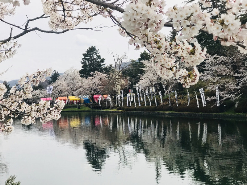 {CA9006C5-9431-49DB-836C-CC98BDD1D410}